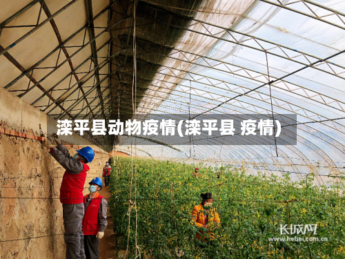 滦平县动物疫情(滦平县 疫情)