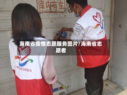 海南省疫情志愿服务图片/海南省志愿者