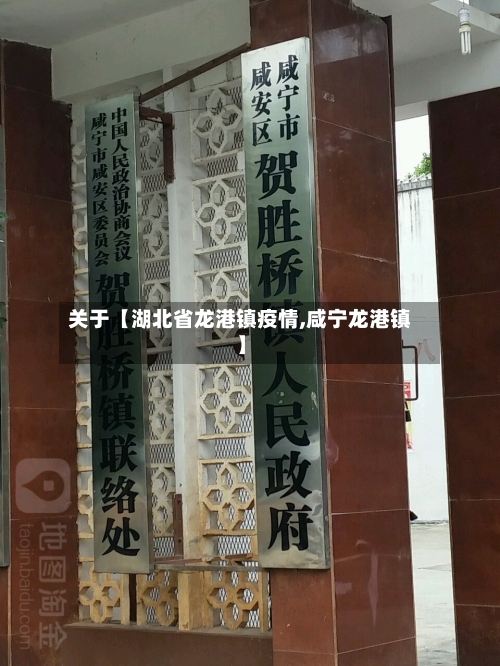 关于【湖北省龙港镇疫情,咸宁龙港镇】-第2张图片