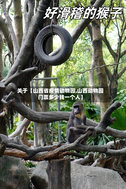 关于【山西省疫情动物园,山西动物园门票多少钱一个人】