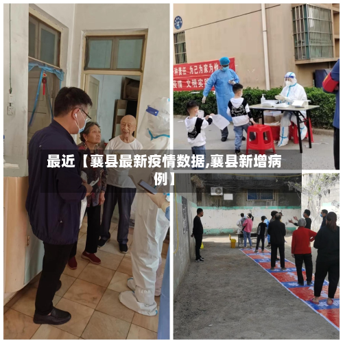 最近【襄县最新疫情数据,襄县新增病例】-第2张图片