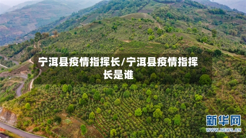 宁洱县疫情指挥长/宁洱县疫情指挥长是谁-第2张图片