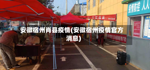 安徽宿州肖县疫情(安徽宿州疫情官方消息)-第2张图片
