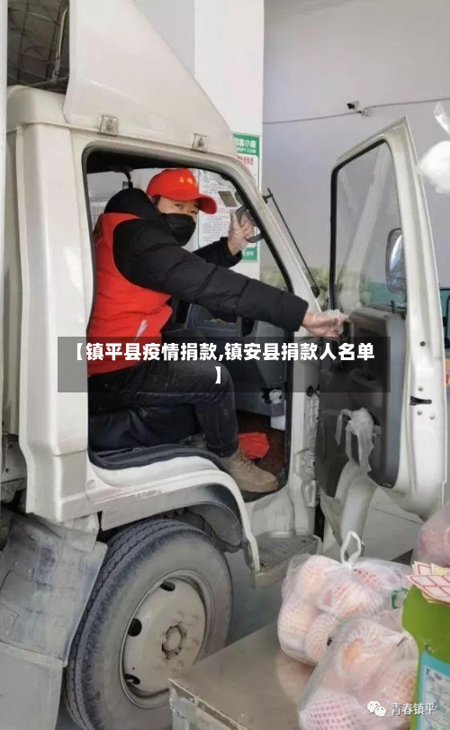 【镇平县疫情捐款,镇安县捐款人名单】