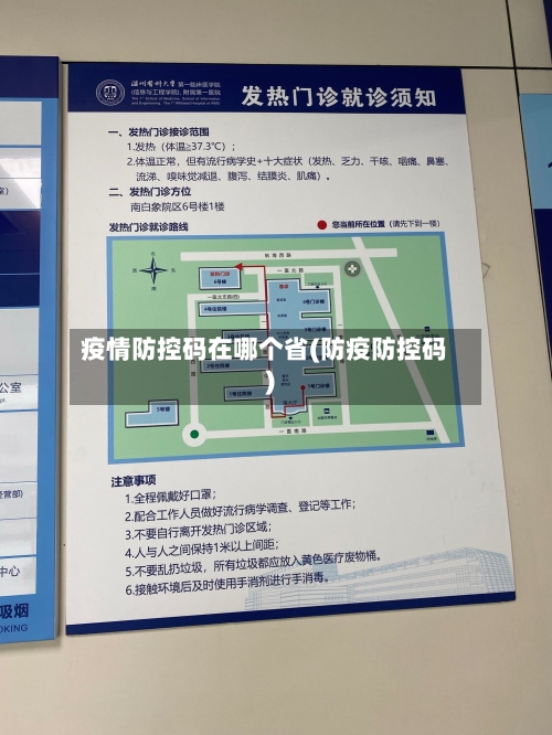 疫情防控码在哪个省(防疫防控码)