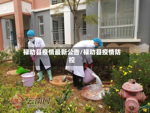 禄劝县疫情最新公告/禄劝县疫情防控-第3张图片