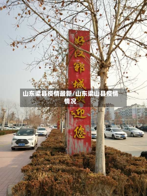山东梁县疫情最新/山东梁山县疫情情况-第2张图片