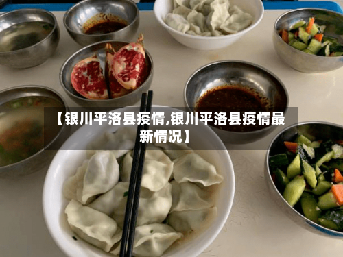 【银川平洛县疫情,银川平洛县疫情最新情况】
