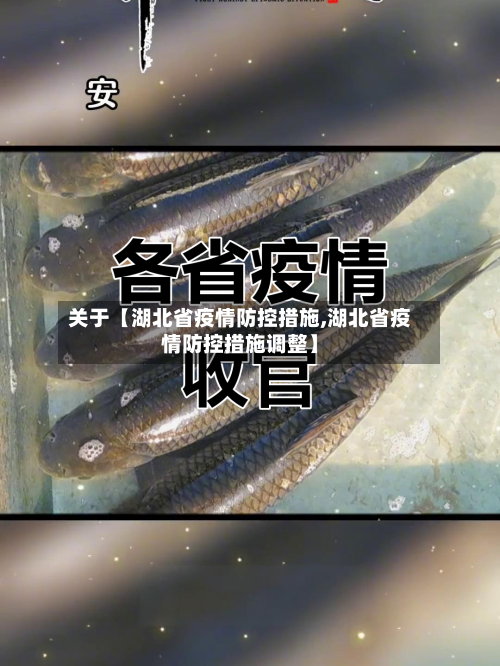 关于【湖北省疫情防控措施,湖北省疫情防控措施调整】-第2张图片