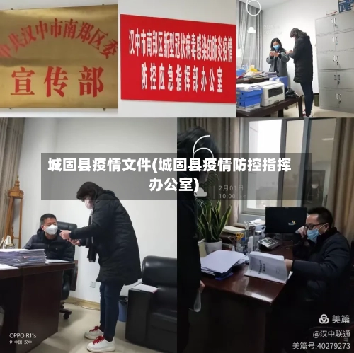 城固县疫情文件(城固县疫情防控指挥办公室)-第2张图片
