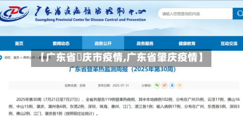 【广东省肈庆市疫情,广东省肇庆疫情】
