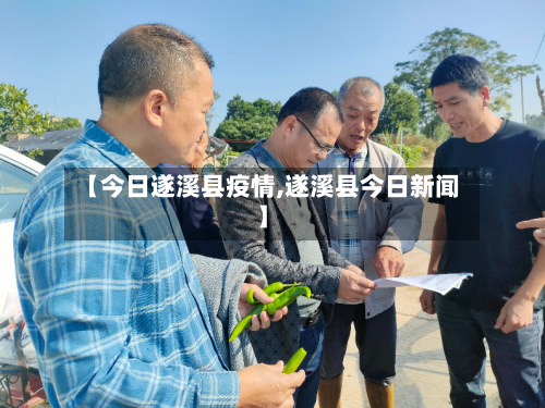 【今日遂溪县疫情,遂溪县今日新闻】