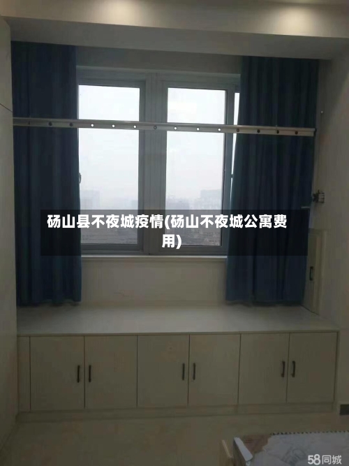 砀山县不夜城疫情(砀山不夜城公寓费用)-第2张图片