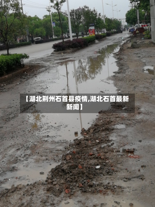 【湖北荆州石首县疫情,湖北石首最新新闻】-第3张图片