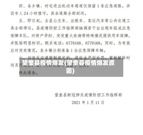望奎县疫情爆发(望奎县疫情爆发原因)