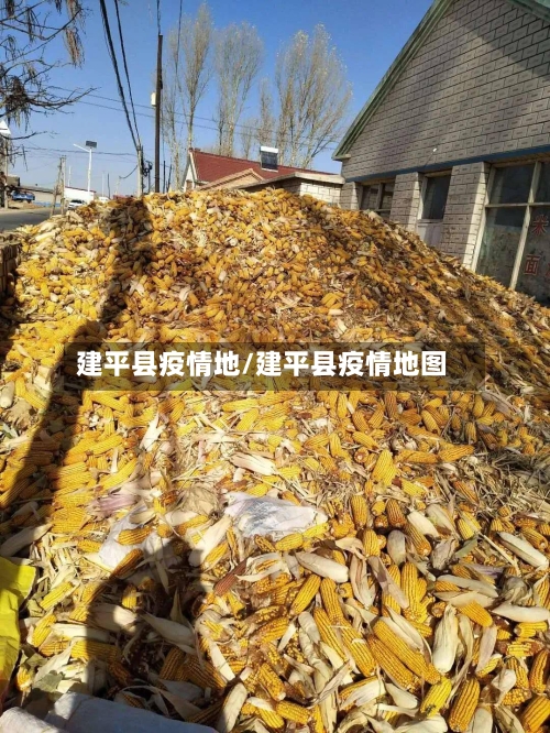 建平县疫情地/建平县疫情地图-第2张图片