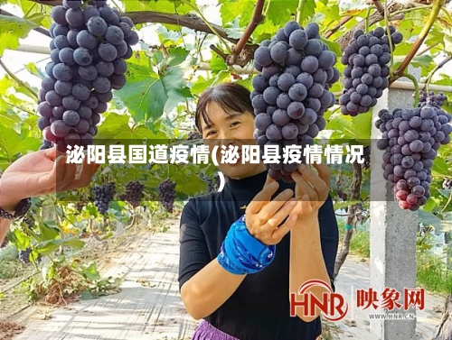 泌阳县国道疫情(泌阳县疫情情况)