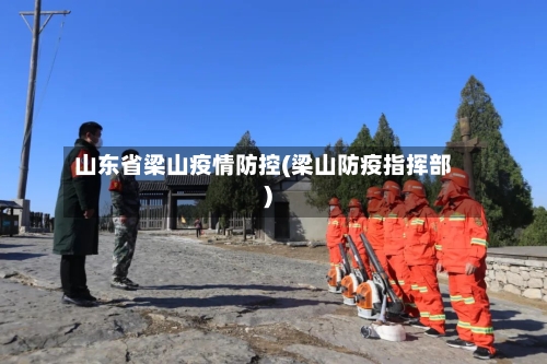 山东省梁山疫情防控(梁山防疫指挥部)