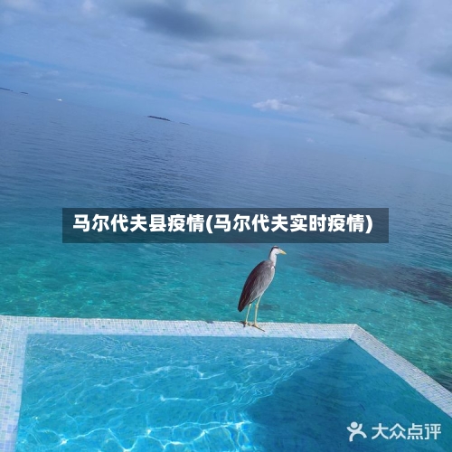 马尔代夫县疫情(马尔代夫实时疫情)-第3张图片
