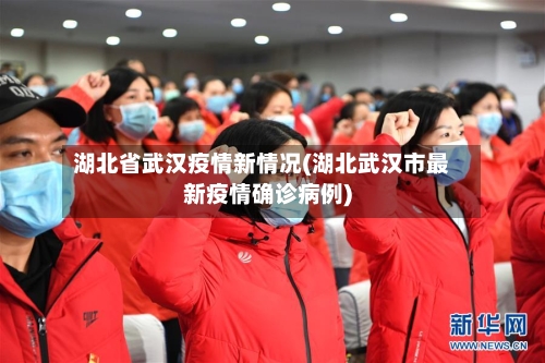 湖北省武汉疫情新情况(湖北武汉市最新疫情确诊病例)-第3张图片