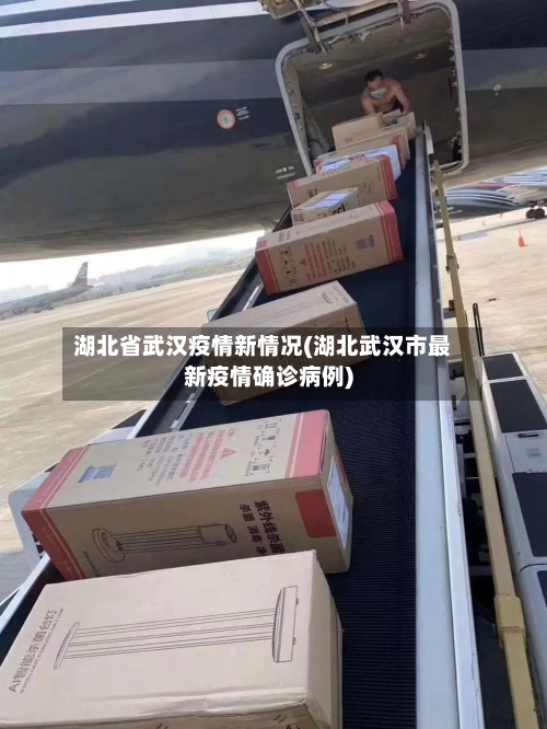 湖北省武汉疫情新情况(湖北武汉市最新疫情确诊病例)-第2张图片