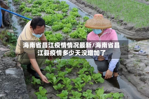 海南省昌江疫情情况最新/海南省昌江县疫情多少天没增加了