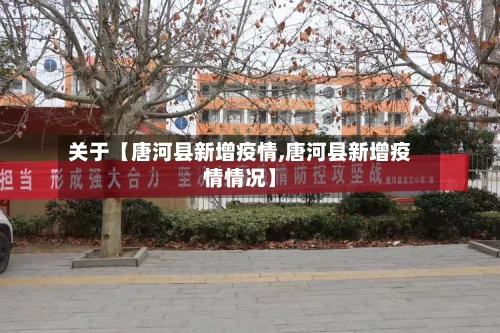 关于【唐河县新增疫情,唐河县新增疫情情况】