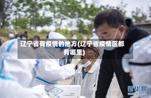 辽宁省有疫情的地方(辽宁省疫情区都有哪里)-第2张图片