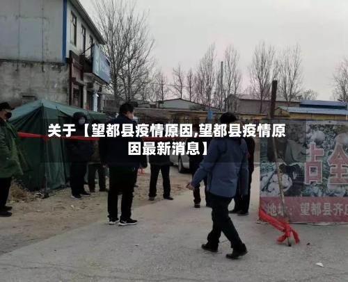 关于【望都县疫情原因,望都县疫情原因最新消息】-第3张图片