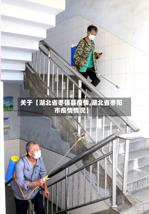 关于【湖北省枣强县疫情,湖北省枣阳市疫情情况】