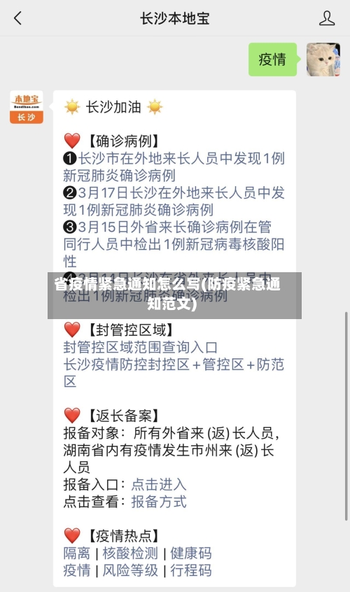 省疫情紧急通知怎么写(防疫紧急通知范文)-第3张图片