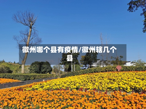 徽州哪个县有疫情/徽州辖几个县
