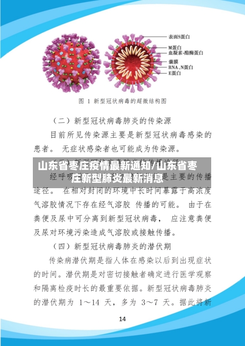 山东省枣庄疫情最新通知/山东省枣庄新型肺炎最新消息-第2张图片
