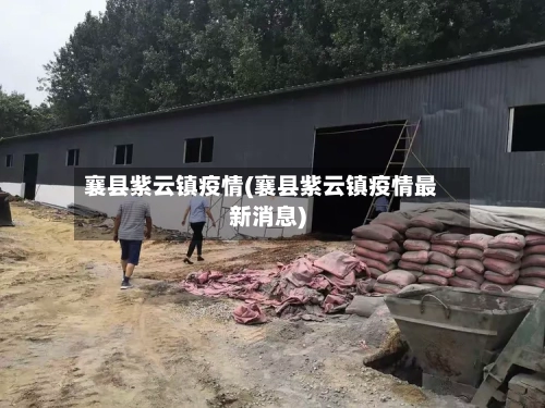 襄县紫云镇疫情(襄县紫云镇疫情最新消息)-第3张图片