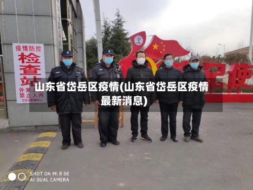 山东省岱岳区疫情(山东省岱岳区疫情最新消息)-第3张图片