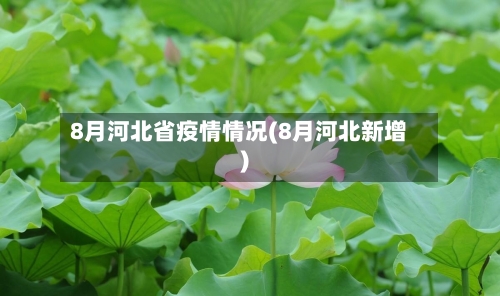 8月河北省疫情情况(8月河北新增)