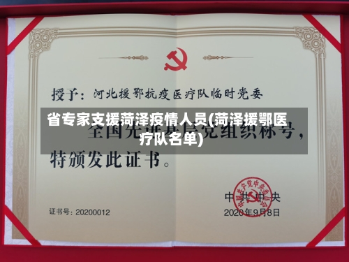 省专家支援菏泽疫情人员(菏泽援鄂医疗队名单)-第2张图片