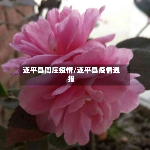 遂平县周庄疫情/遂平县疫情通报