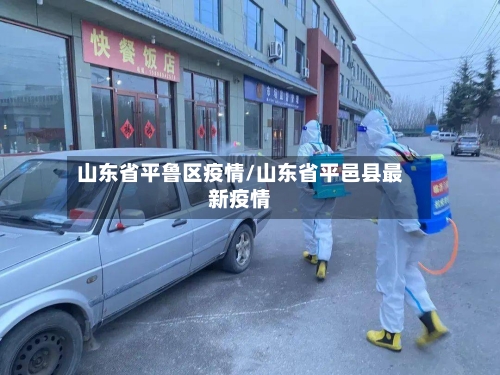 山东省平鲁区疫情/山东省平邑县最新疫情-第3张图片