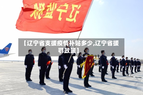 【辽宁省支援疫情补贴多少,辽宁省援鄂政策】
