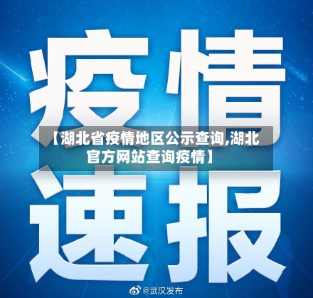 【湖北省疫情地区公示查询,湖北官方网站查询疫情】