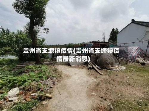 贵州省支塘镇疫情(贵州省支塘镇疫情最新消息)-第2张图片