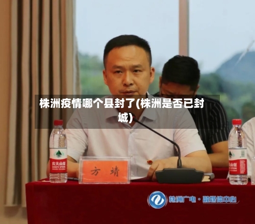 株洲疫情哪个县封了(株洲是否已封城)-第3张图片