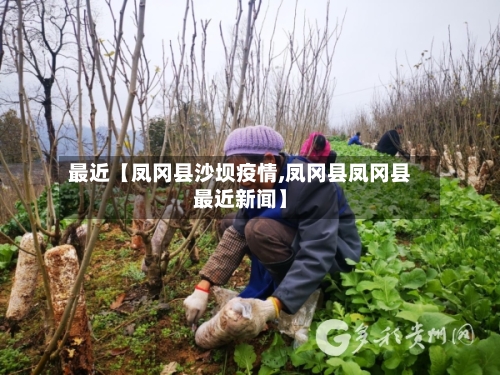 最近【凤冈县沙坝疫情,凤冈县凤冈县最近新闻】