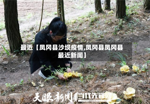 最近【凤冈县沙坝疫情,凤冈县凤冈县最近新闻】-第3张图片