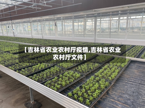 【吉林省农业农村厅疫情,吉林省农业农村厅文件】-第2张图片