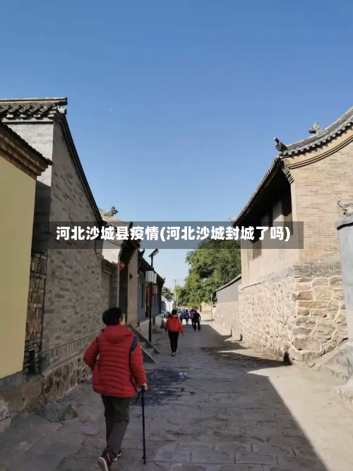 河北沙城县疫情(河北沙城封城了吗)-第2张图片