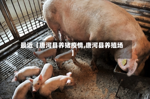 最近【唐河县养猪疫情,唐河县养殖场】