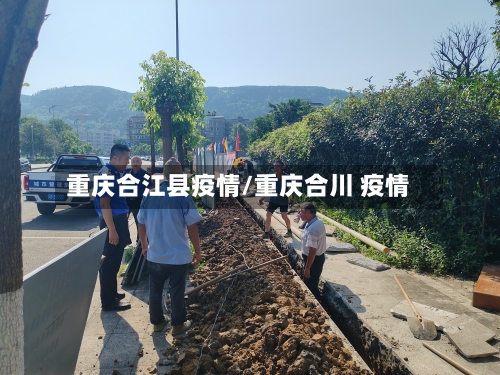 重庆合江县疫情/重庆合川 疫情-第3张图片