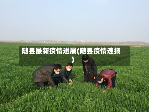 随县最新疫情进展(随县疫情速报)